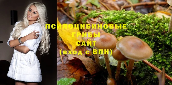 Альфа ПВП Верхний Тагил