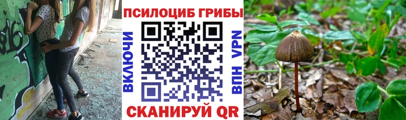 kraken ссылки  Гуково  Псилоцибиновые грибы GOLDEN TEACHER  продажа наркотиков 